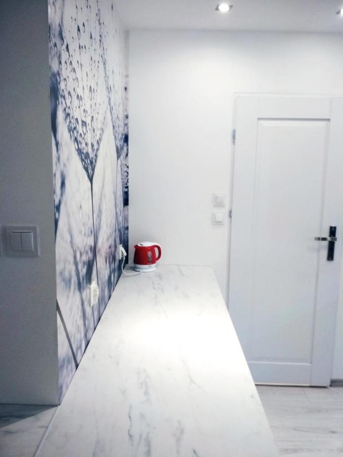 Apartament Ul Mlynowa I Parking Podziemny เบียวิสตอก ภายนอก รูปภาพ